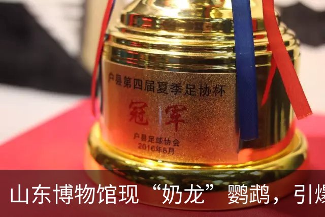 山东博物馆现“奶龙”鹦鹉，引爆网友热议！