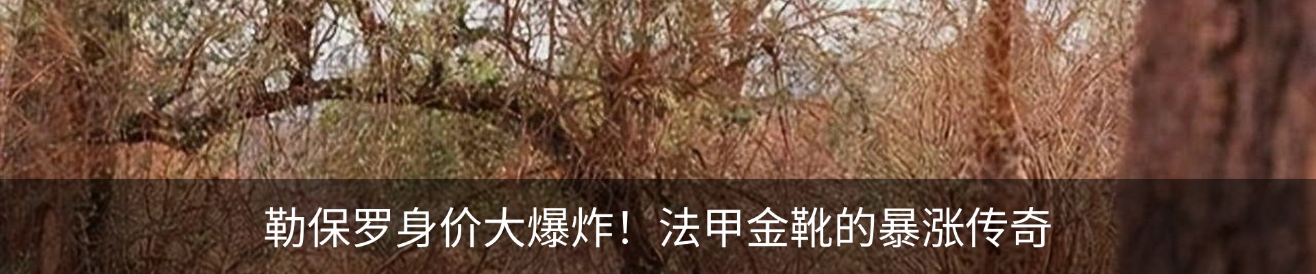 资讯中心