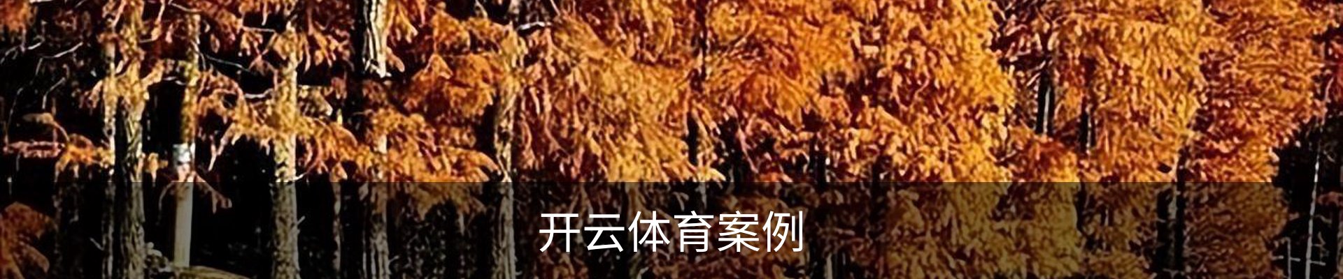 开云体育案例